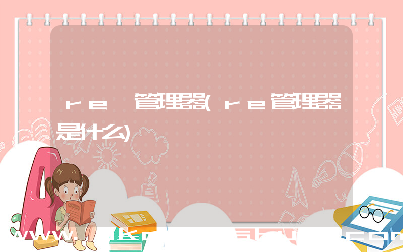 re 管理器(re管理器是什么)